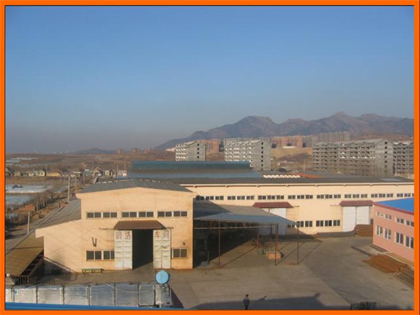 Li Cun overlooking photos